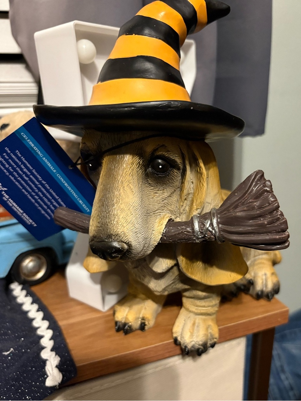 Witch Basset Hound Dog